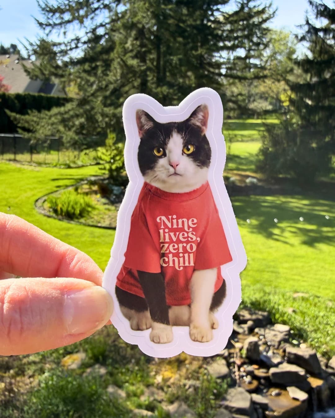 cat meme sticker nine lives zero chill cat humor sticker held between fingers outdoors with yard background