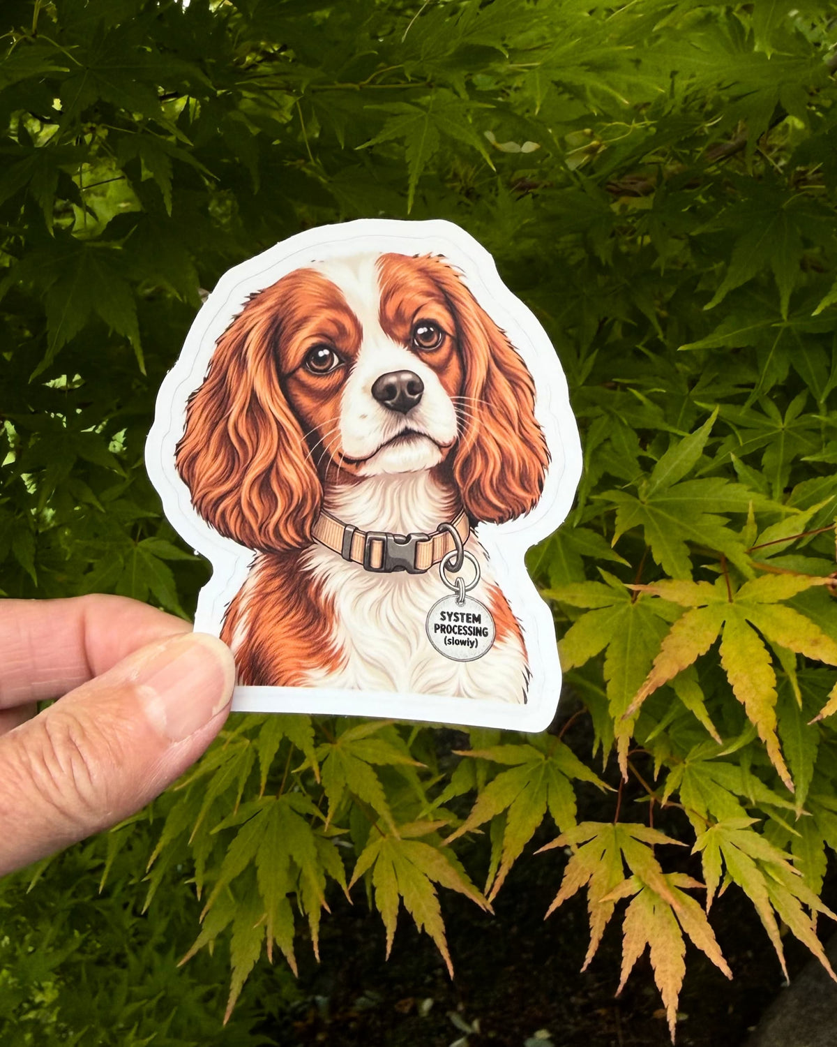 Cavalier King Charles Spaniel sticker held in a hand against green maple leaves, with its SYSTEM PROCESSING slowly tag showing