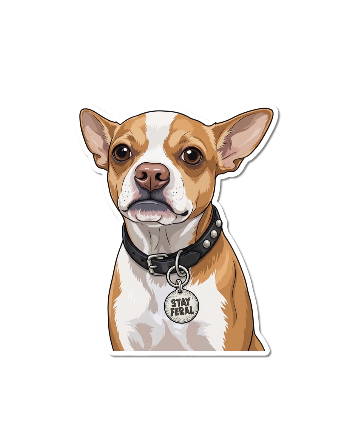 hihuahua dog sticker showing a tan and white Chihuahua in a black studded collar with a round tag that says STAY FERAL