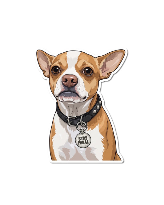 hihuahua dog sticker showing a tan and white Chihuahua in a black studded collar with a round tag that says STAY FERAL