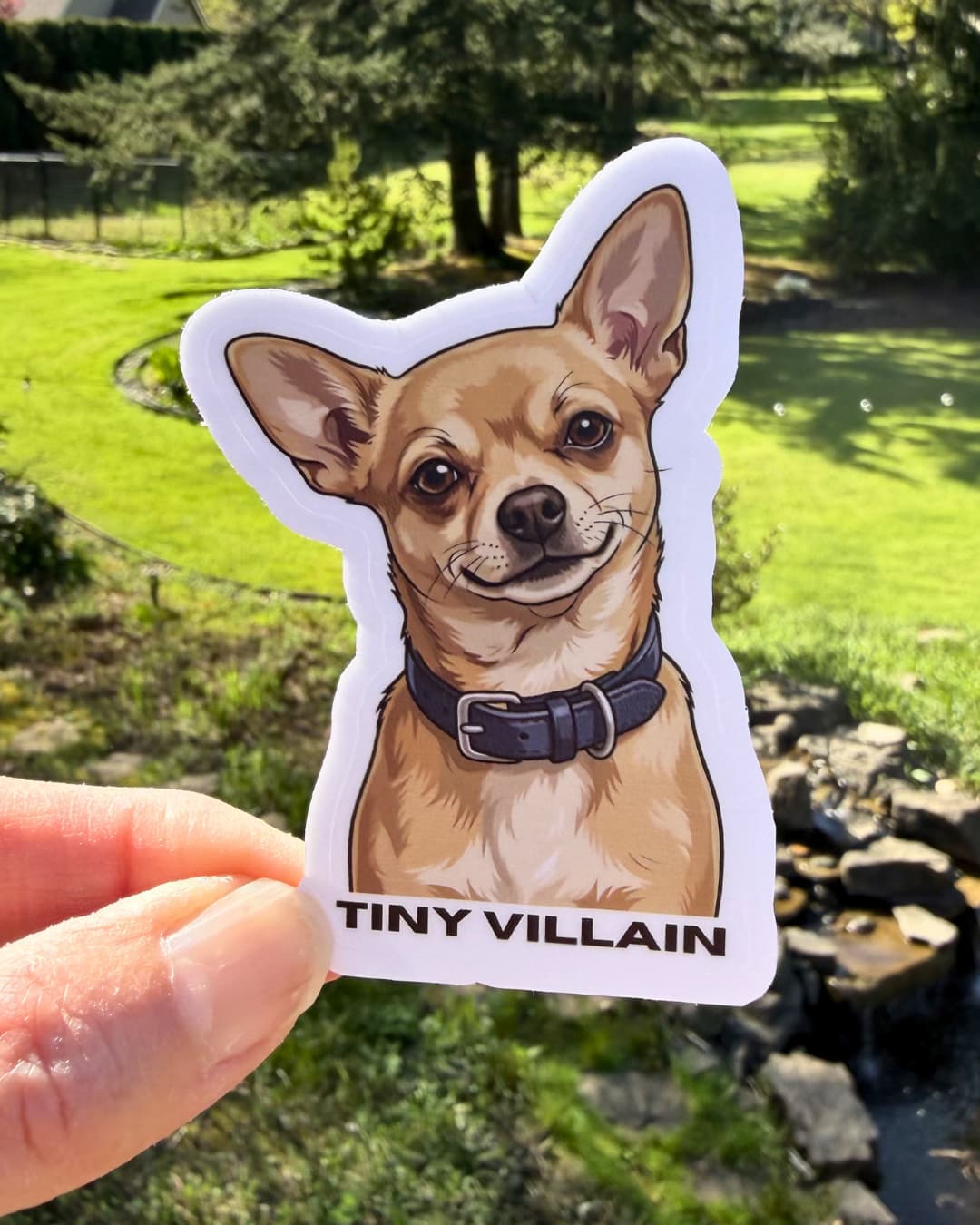 funny chihuahua sticker small tan chihuahua with tiny villain text -- held by hand with nature background