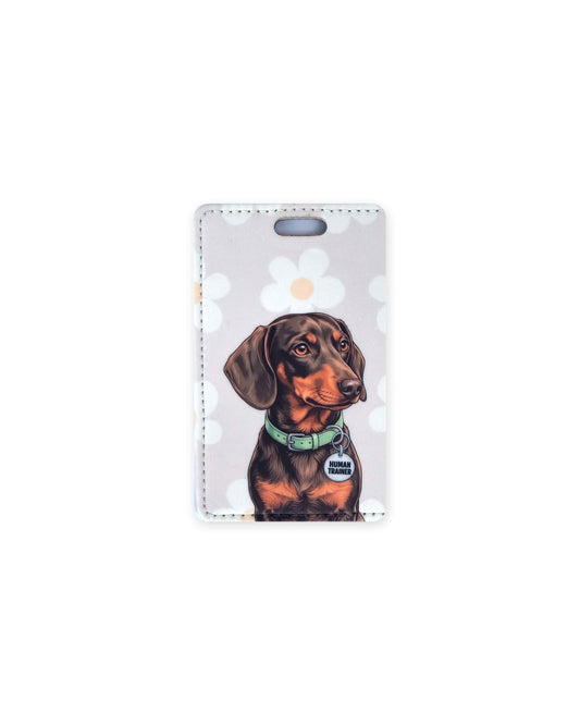 Chocolate and tan dachshund luggage tag with an original design of a doxie wearing a mint green collar and a round charm that reads "Human Trainer", on a gray floral background. Faux leather luggage tag with stitched edges and a slot at the top.
