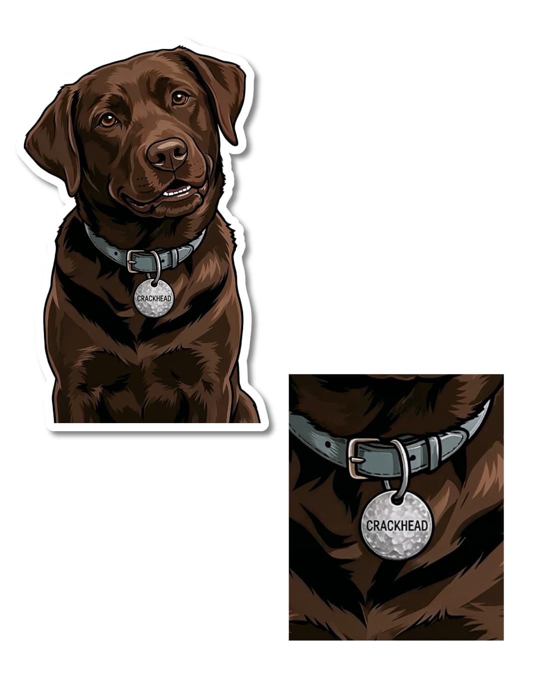 chocolate lab crazy energy sticker funny dog humor close-up of collar tag with humorous text