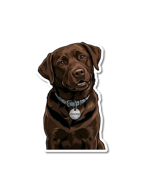 chocolate lab crazy energy sticker funny dog humor brown lab with humorous tag on collar