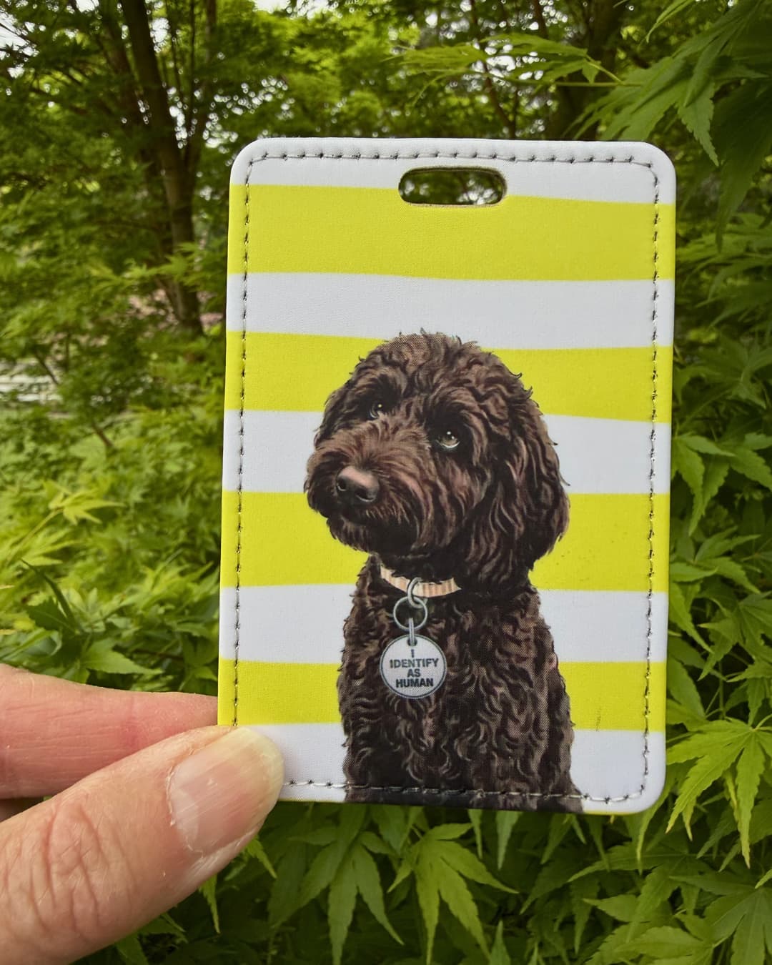 chocolate labradoodle luggage tag handheld outdoors against green foliage showing curly brown Labradoodle with I IDENTIFY AS HUMAN collar charm and top attachment slot