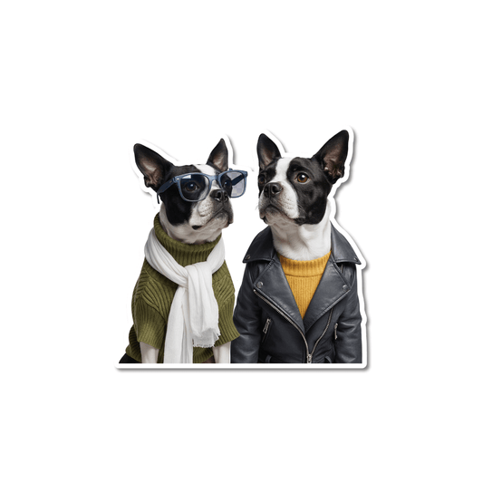 Cool Boston terrier sticker; two dogs dressed in stylish outfits, one wearing glasses and a scarf and the other in a leather jacket, on a white background.