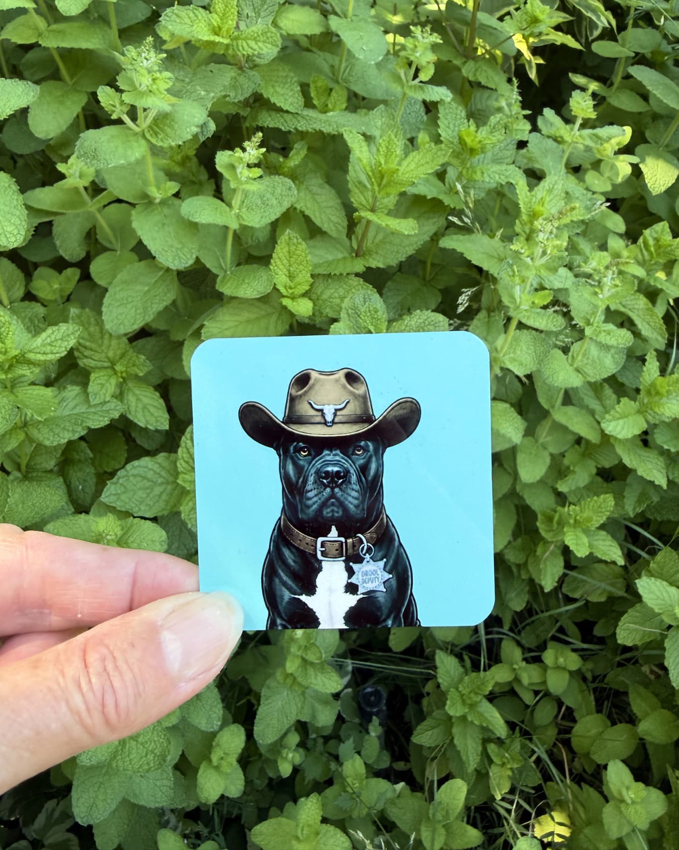 Cowboy Cane Corso Magnet | Drool Deputy