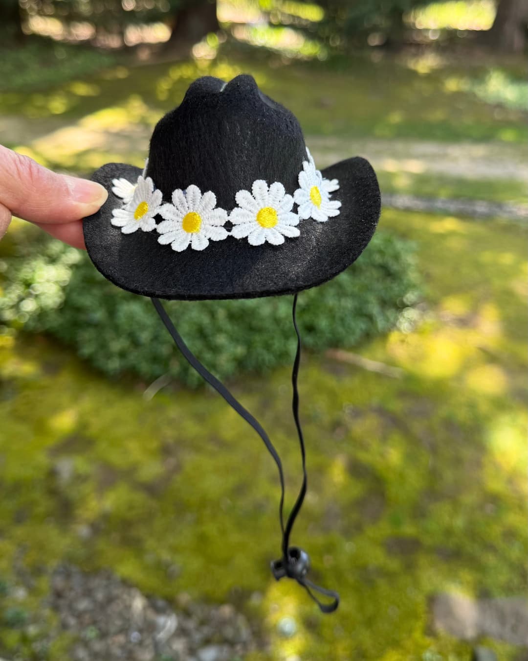Hand holding black mini dog cowboy hat with white daisy trim and adjustable black chin strap, outdoor garden background
