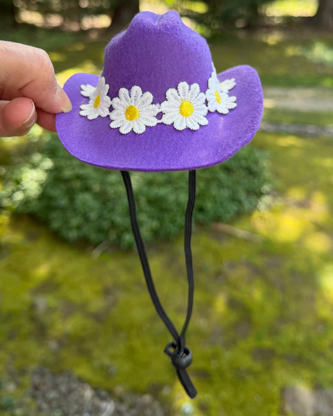 Hand holding a purple mini dog cowboy hat with white daisy flowers and adjustable chin strap, outdoor background