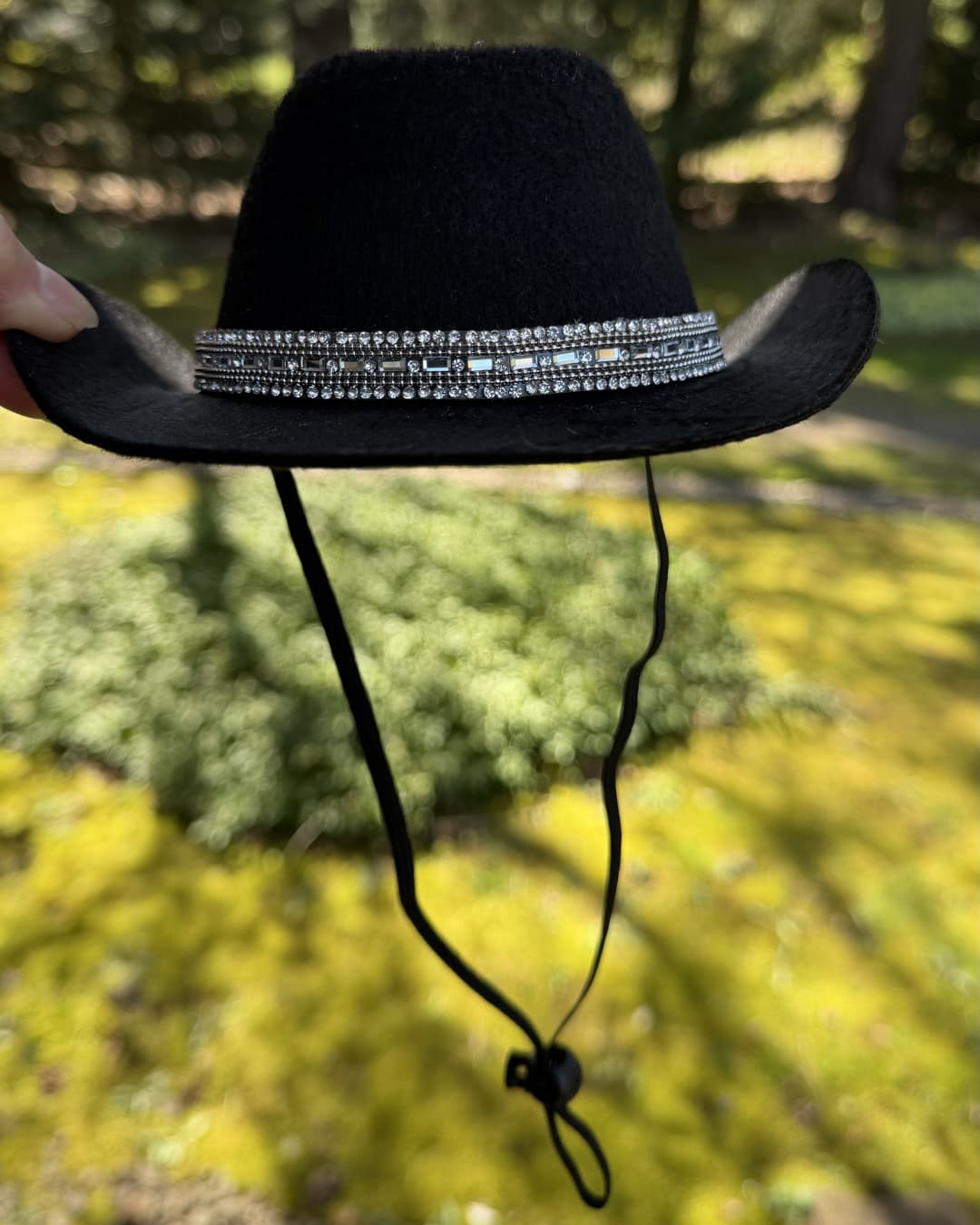 Cowboy hat for dogs black rhinestone; black cowboy hat with rhinestone band outdoors, green bokeh background