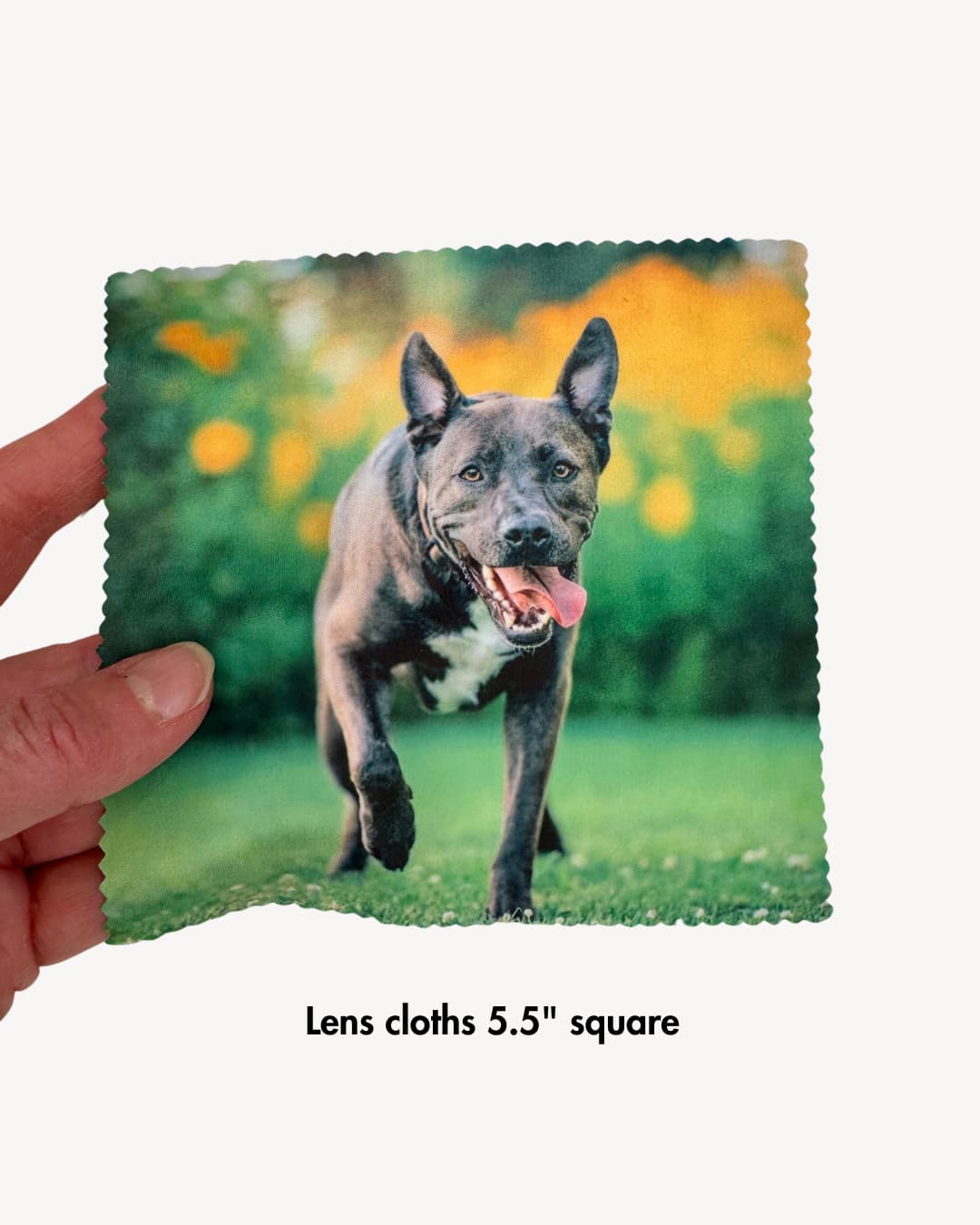 custom dog photo lens cloth measuring 5.5 inches square shown held in hand featuring a blue staffy running on grass