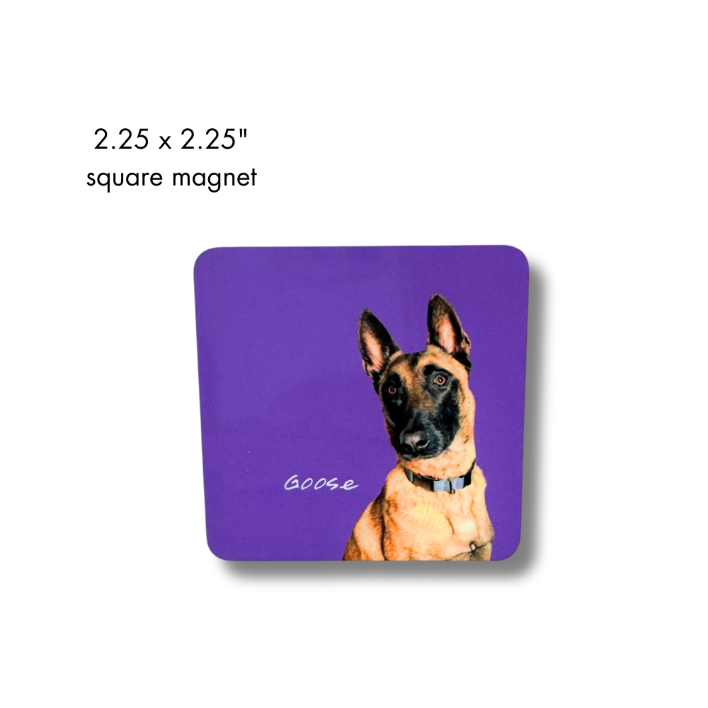 Custom Pet Magnet | Personalized Photo Gift of Dog or Cat