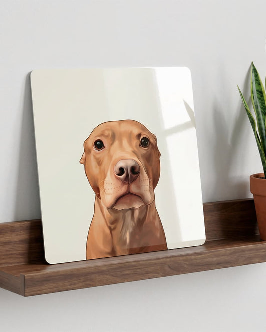 Custom Pet Portrait Aluminum Metal Photo Print