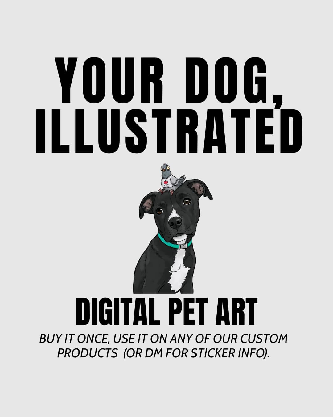 Your Dog Illustrated, custom digital pet art by Sly Dawg Studio, pit bull with NYC pigeon illustration, buy once use on any custom product