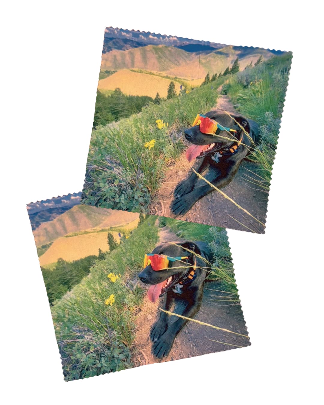 Two custom microfiber cleaning cloths printed with a black lab wearing sunglasses on a mountain trail, shown on white background.