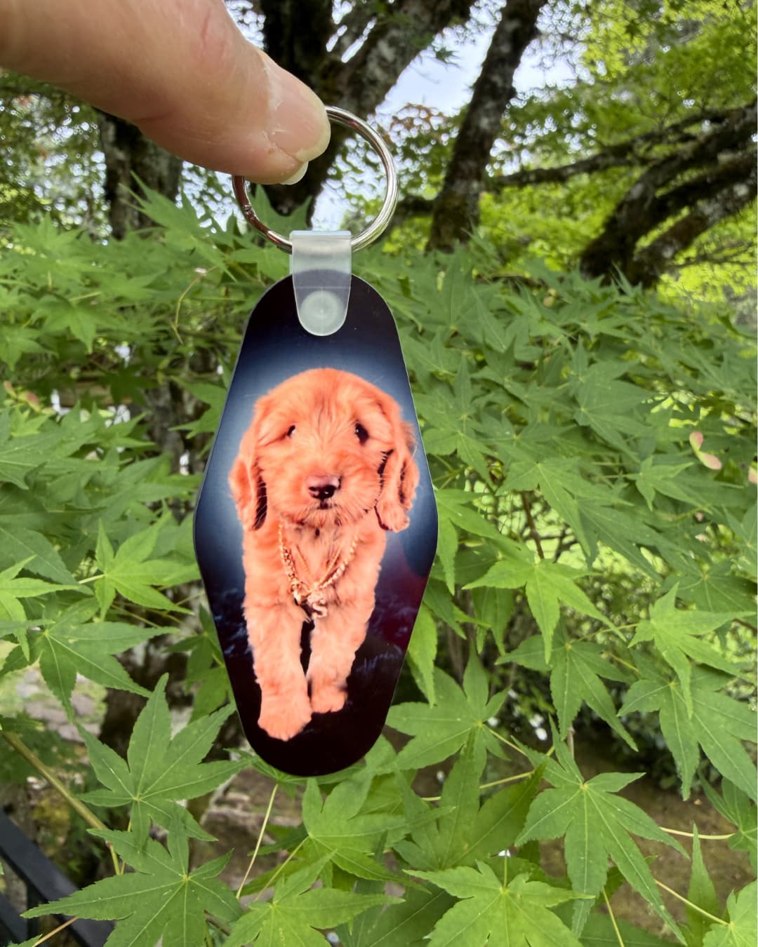 Custom motel keychain with goldendoodle photo held up outdoors against green Japanese maple leaves, front-facing view showing full print quality