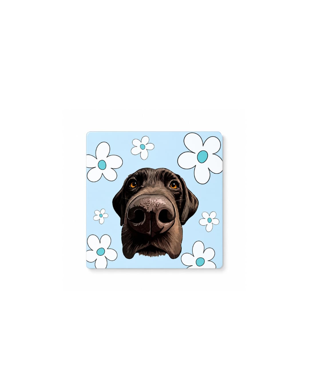 A square light blue metal magnet featuring a close up illustration of a chocolate lab and white artsy flowers around the dog.  The custom pet fridge magnet  is centered on a clean white background.