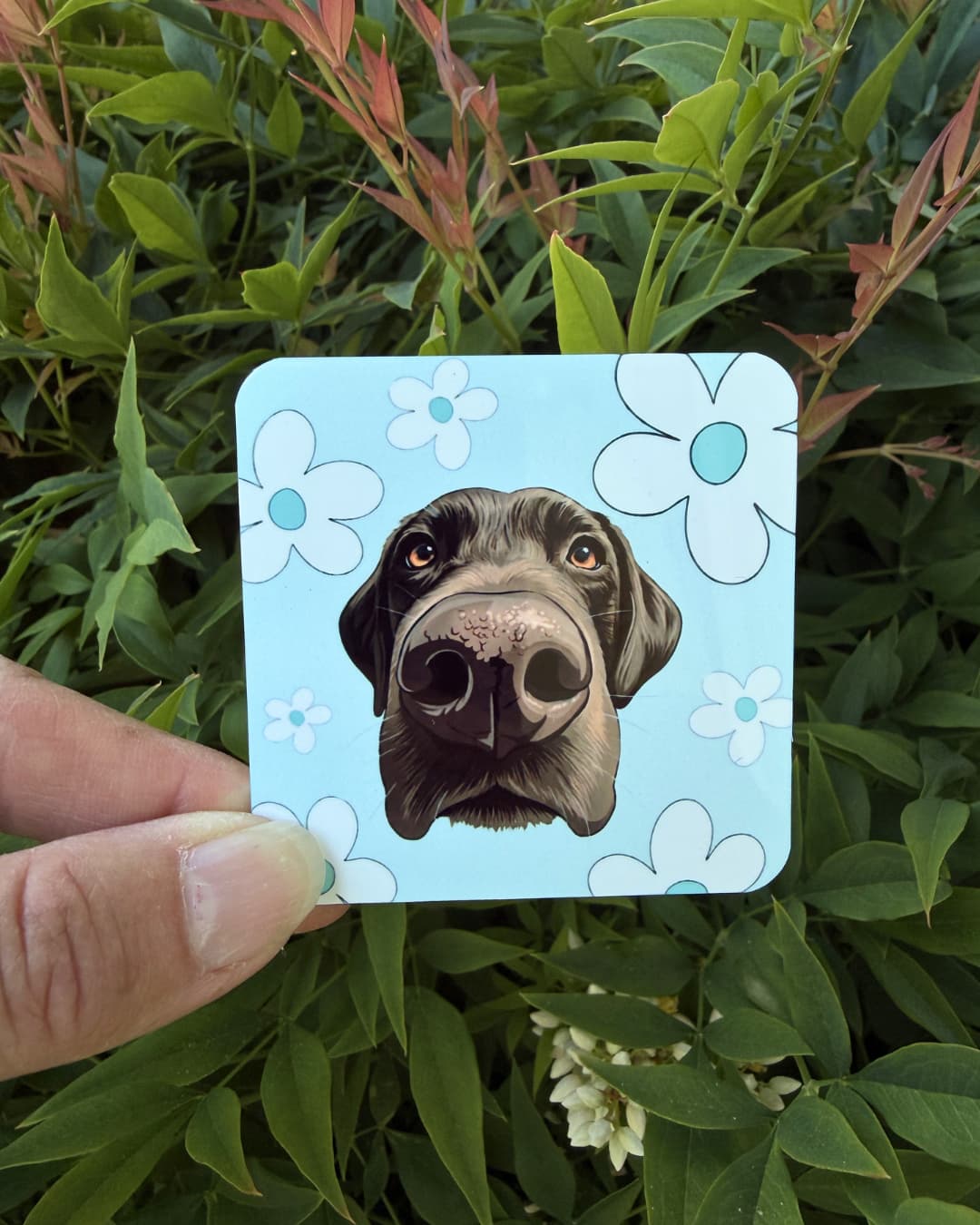 Custom pet photo fridge magnet held outdoors against green garden foliage, personalized chocolate Lab illustration on light blue daisy background by Sly Dawg Studio
