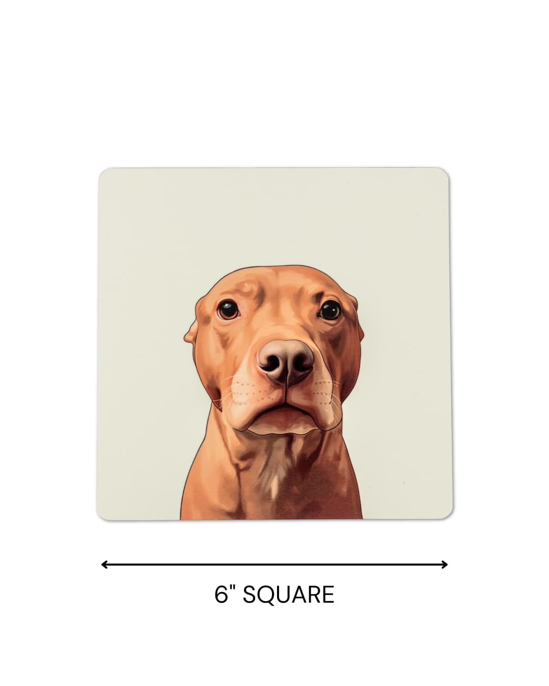Custom Pet Portrait Aluminum Metal Photo Print
