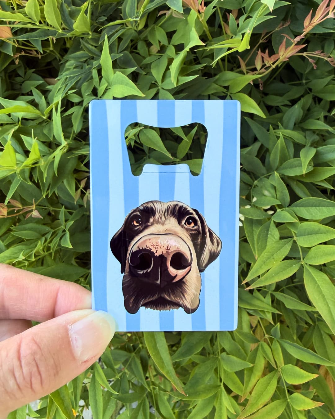 A hand holding a personalized pet photo bottle opener credit card size featuring blue stripes and chocolate Lab face close up illustration. Leaves in the background.