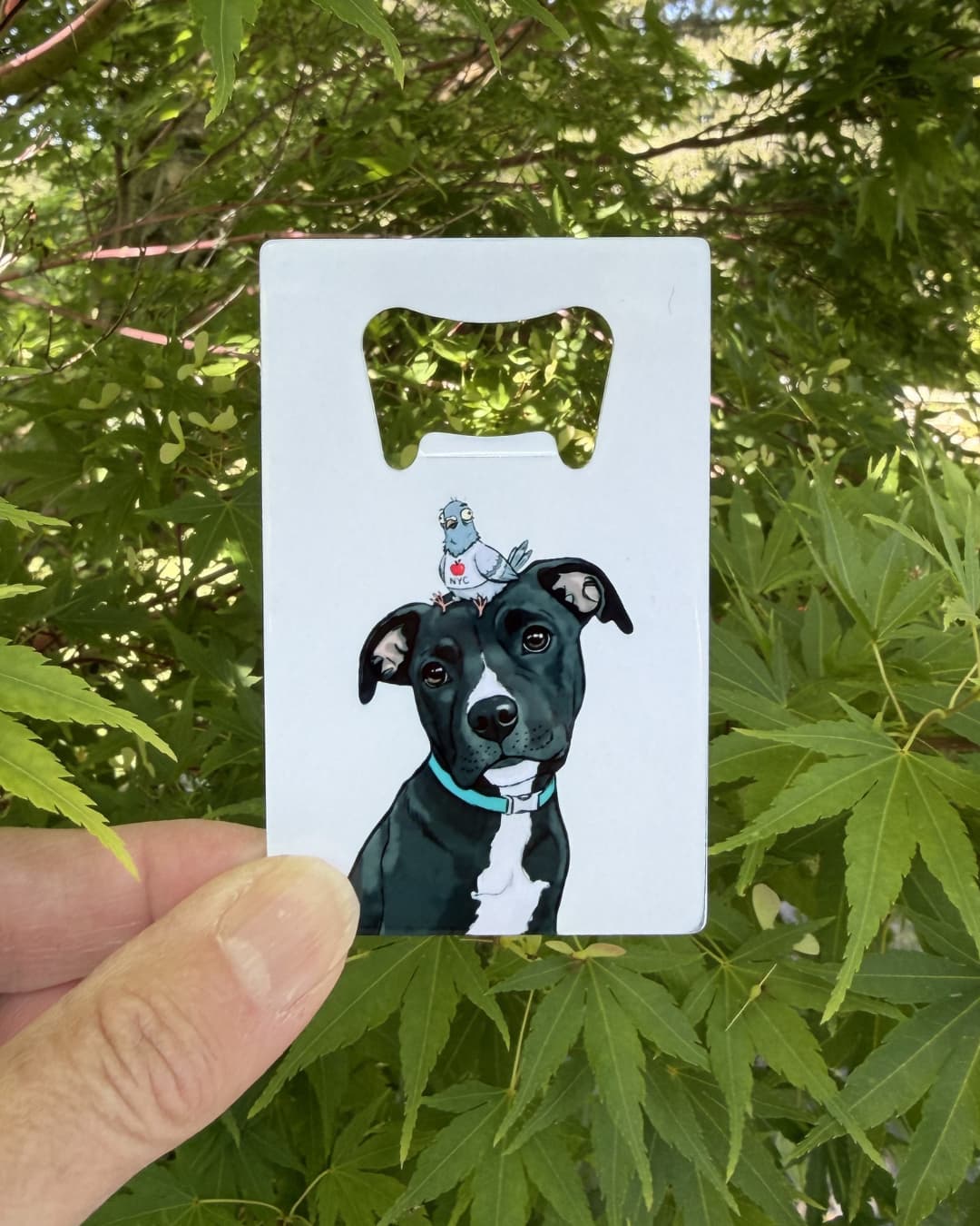 Custom pet photo bottle opener featuring a black Pit Bull portrait, credit card size