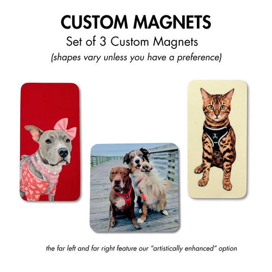 custom pet photo fridge magnets mix and match set of 3  featuring illustrated dog images and photo dog images on a white background 