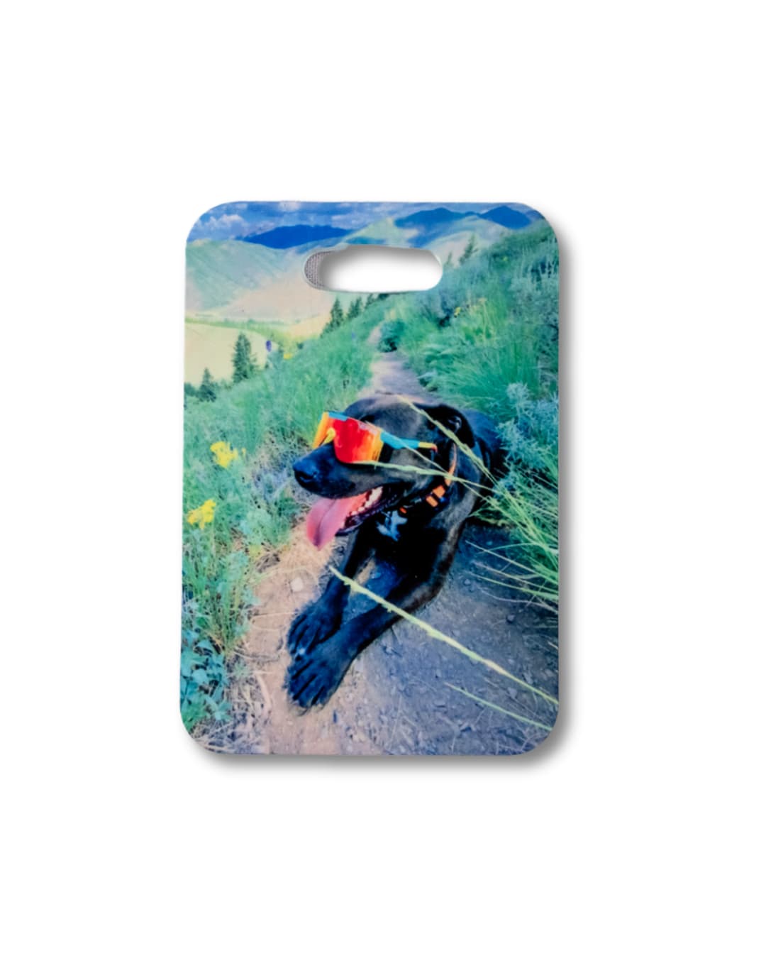 Custom pet photo luggage tag with a black dog in an outdoor setting, personalized faux leather tag by Sly Dawg Studio