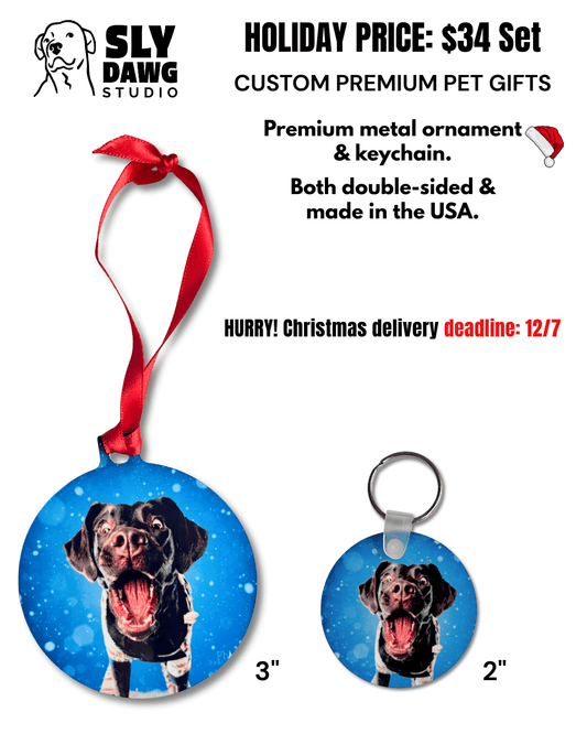  custom pet photo ornament and photo keychain (blue circle with brown dog and red ribbon)