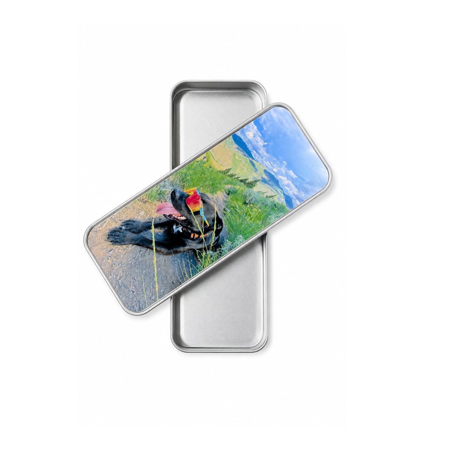 Custom Pet Photo Storage Tin with a photo of dog wearing sports glasses on a mountain. Organizer case is shown open with lid across the top sideways so you can see inside.