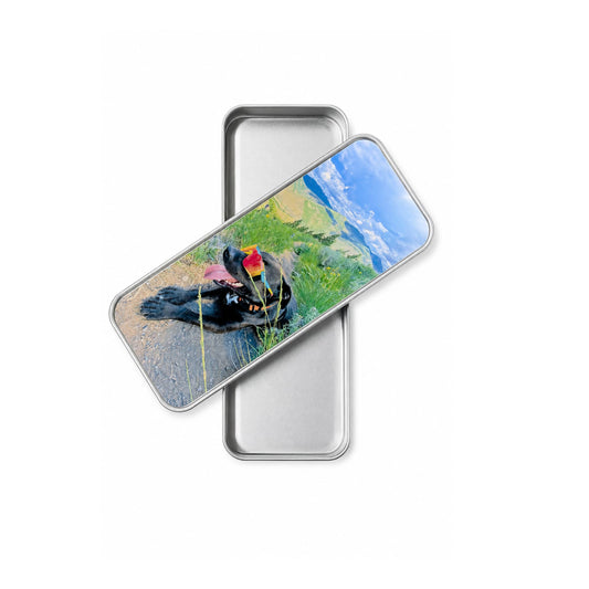 Custom Pet Photo Storage Tin with a photo of dog wearing sports glasses on a mountain. Organizer case is shown open with lid across the top sideways so you can see inside.