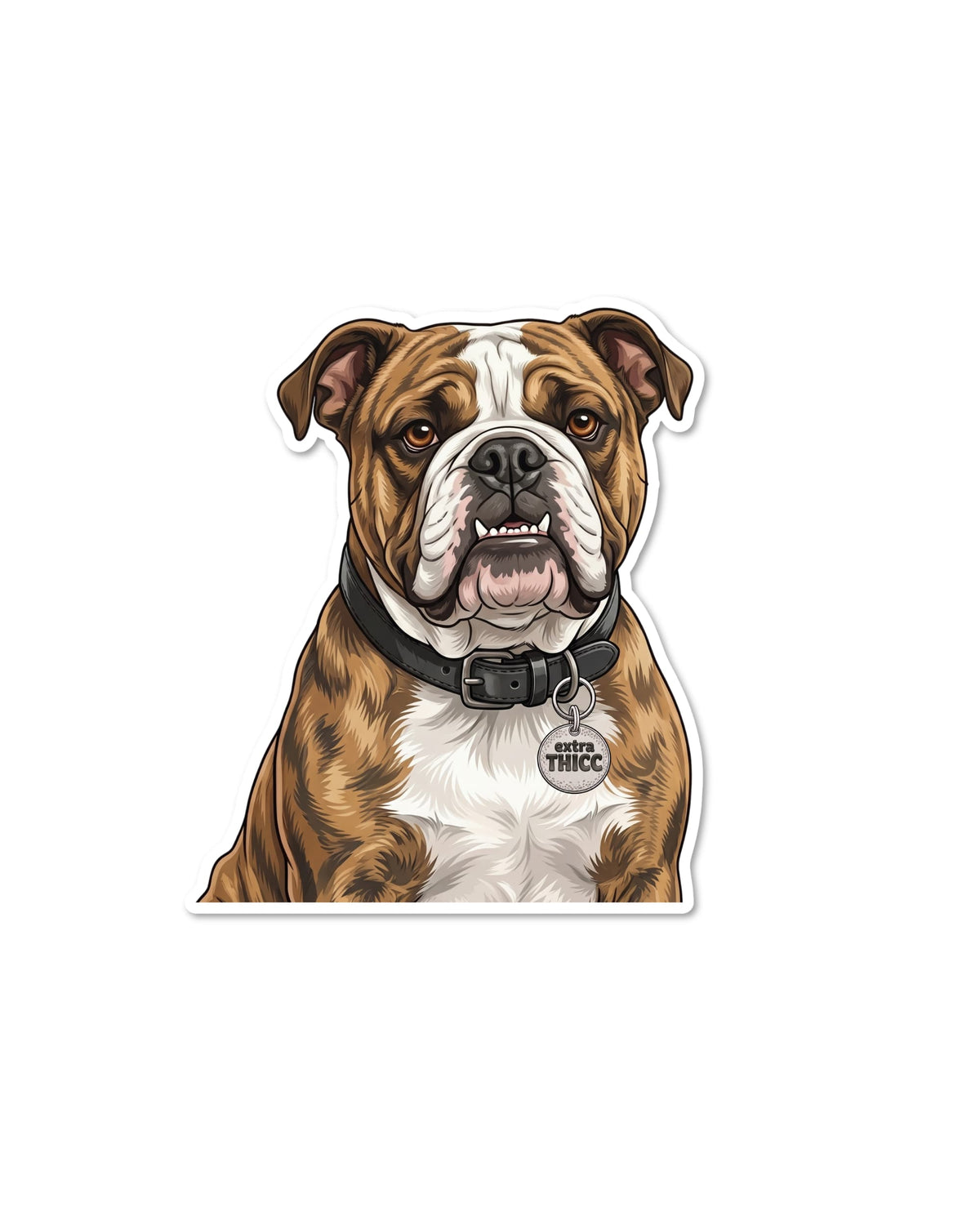 Cute English bulldog sticker: brindle and white bulldog with an underbite, black collar, and round tag reading Extra THICC