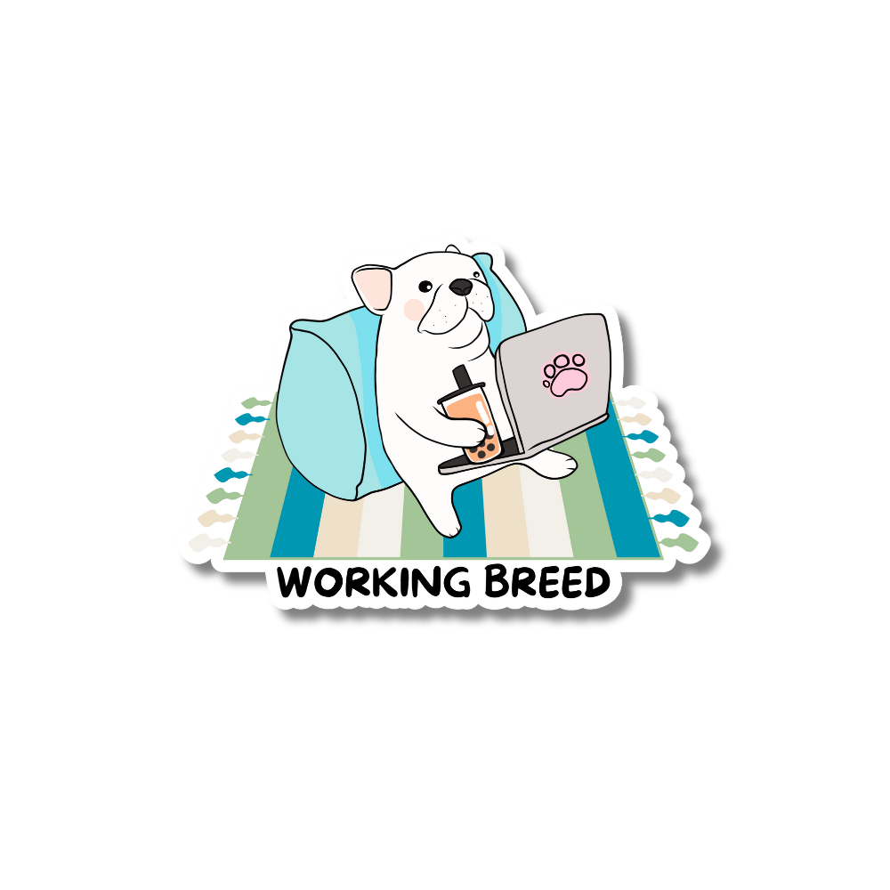 cute French bulldog sticker - white dog sitting on blue and green rug with back agains a blue pillow & holding a bubble tea and a laptop