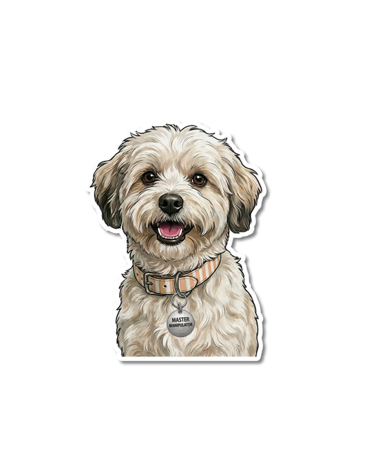 cute havanese sticker fluffy cream havanese dog wearing sunglasses jacket and scarf matte vinyl decal