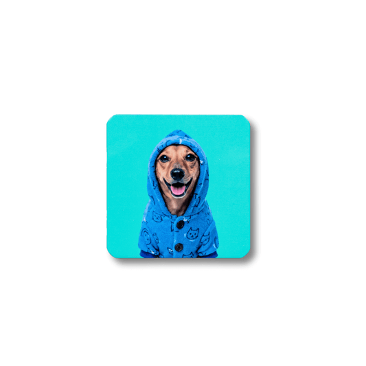 Cute wiener dog friedge magnet. Dachshund wearing a blue hoodie on a teal background