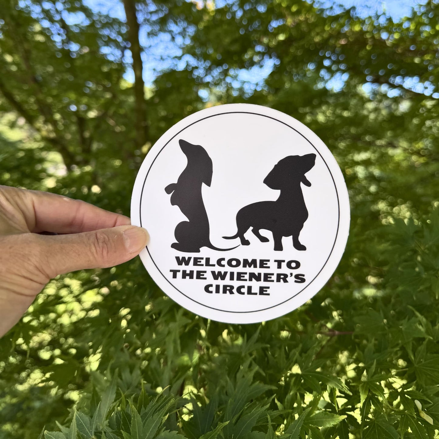 handheld in front of green leaves: Large 5" funny dachshund sticker for car window. Circular "Welcome to the Wiener's Circle" with minimalist white and black design. Waterproof.  Two wiener dog silhouettes