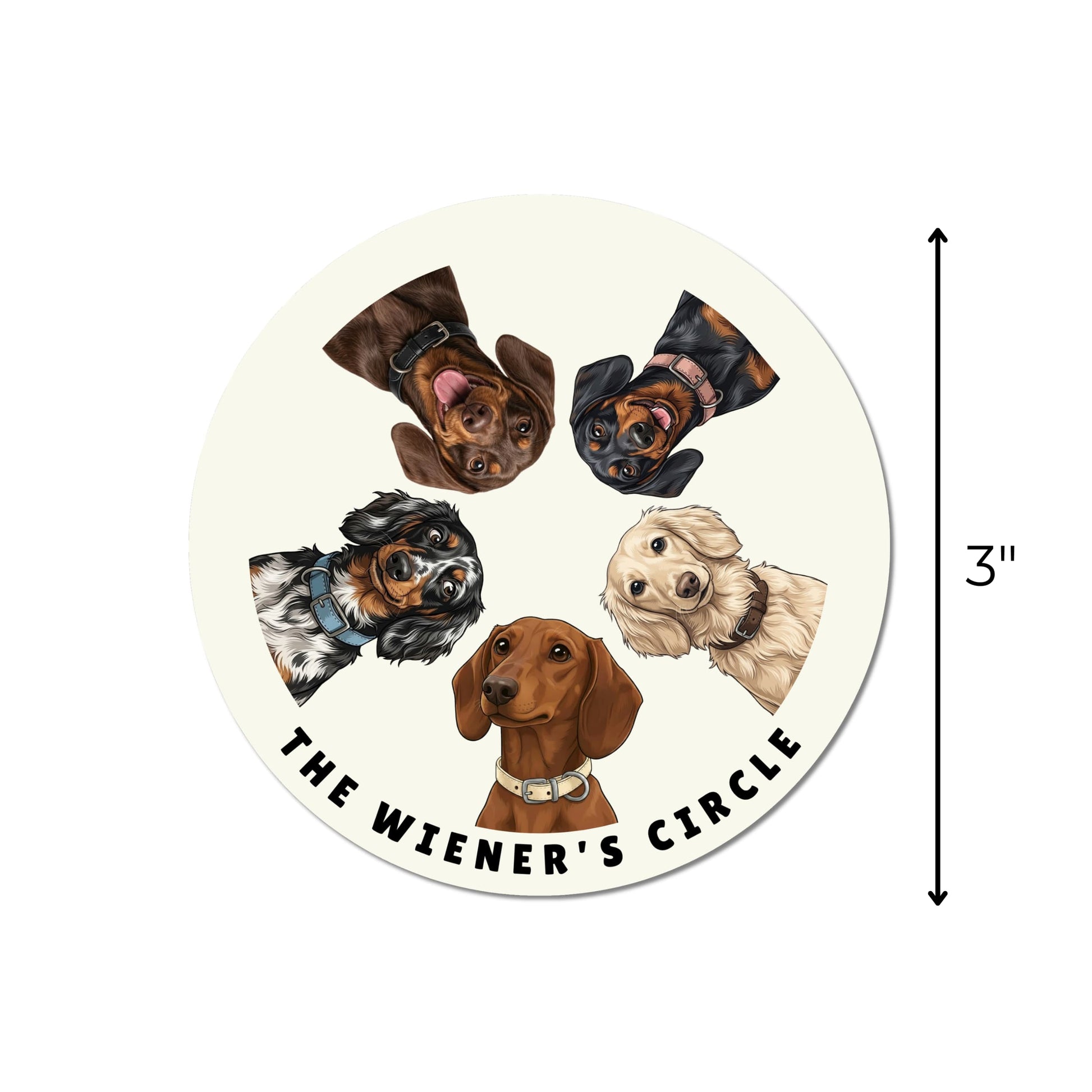  Dachshund lover sticker shown beside a vertical arrow indicating the kiss-cut decal measures 3 inches tall.