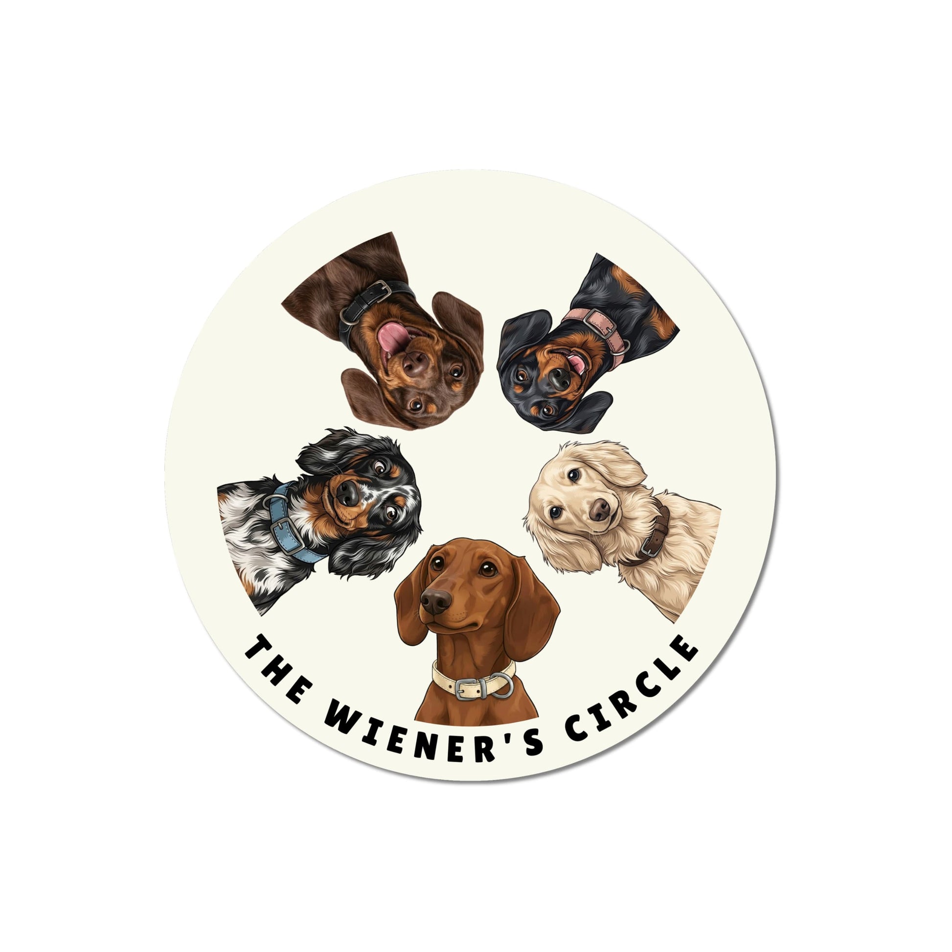 Dachshund lover sticker featuring five illustrated Dachshunds in chocolate, black and tan, dapple, cream, and red coat colors with The Wiener's Circle text.