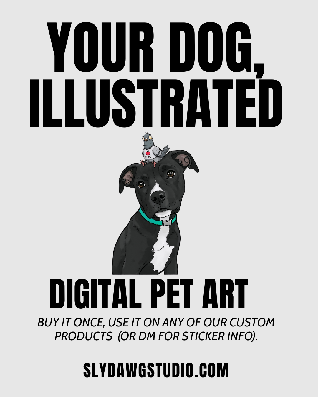 digital pet art service graphic showing a illustrated black and white dog with a pigeon on its head and the text your dog illustrated digital pet art by Sly Dawg Studio