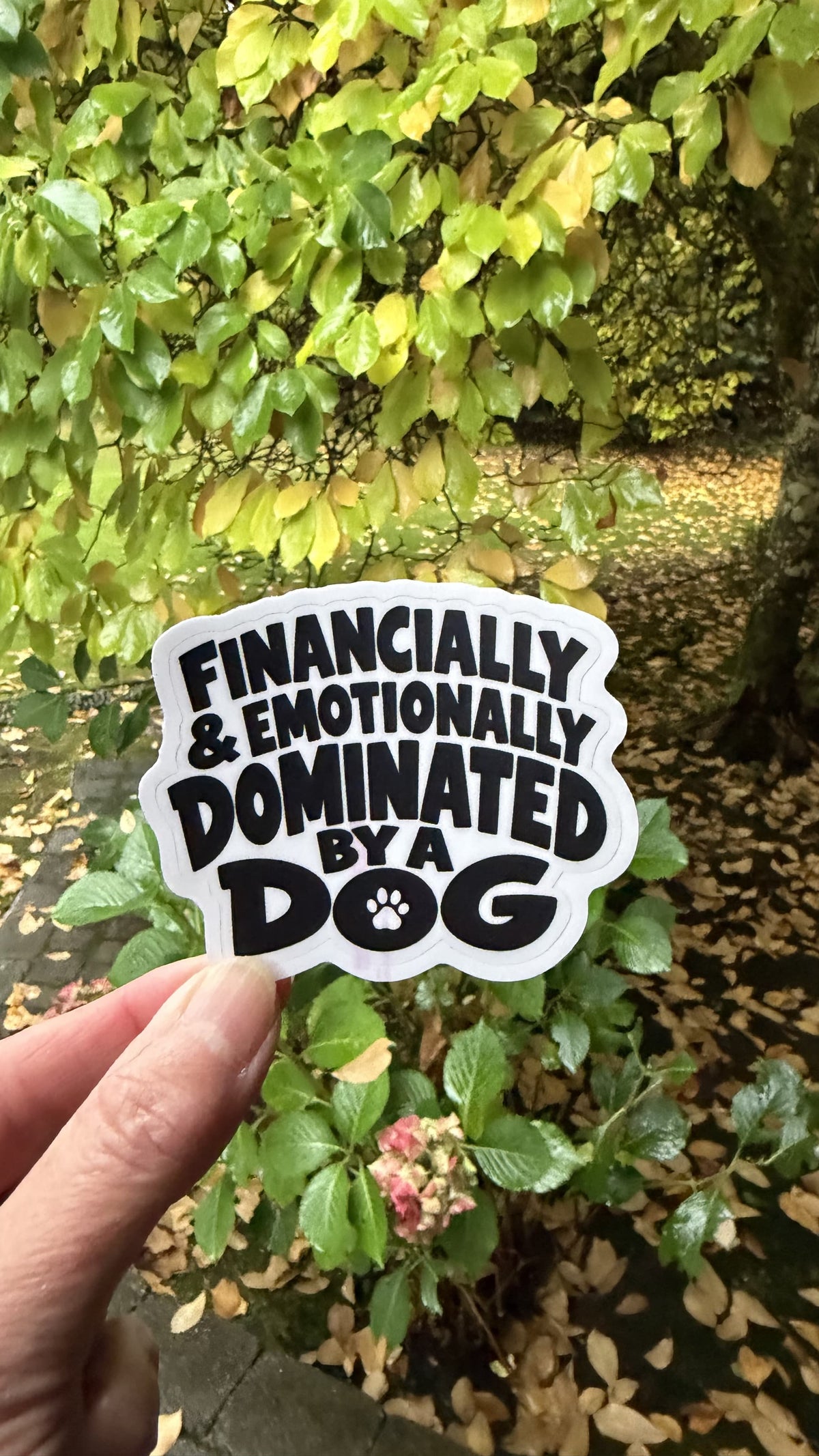 Hand holding the black and white Financially & Emotionally Dominated by a Dog water bottle sticker in front of green leaves