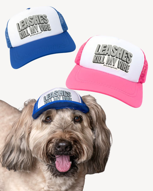 Dog trucker hat with saying shown in two colors (blue and pink) and also on a Wheaten Terrier wearing the dog hat. White background.