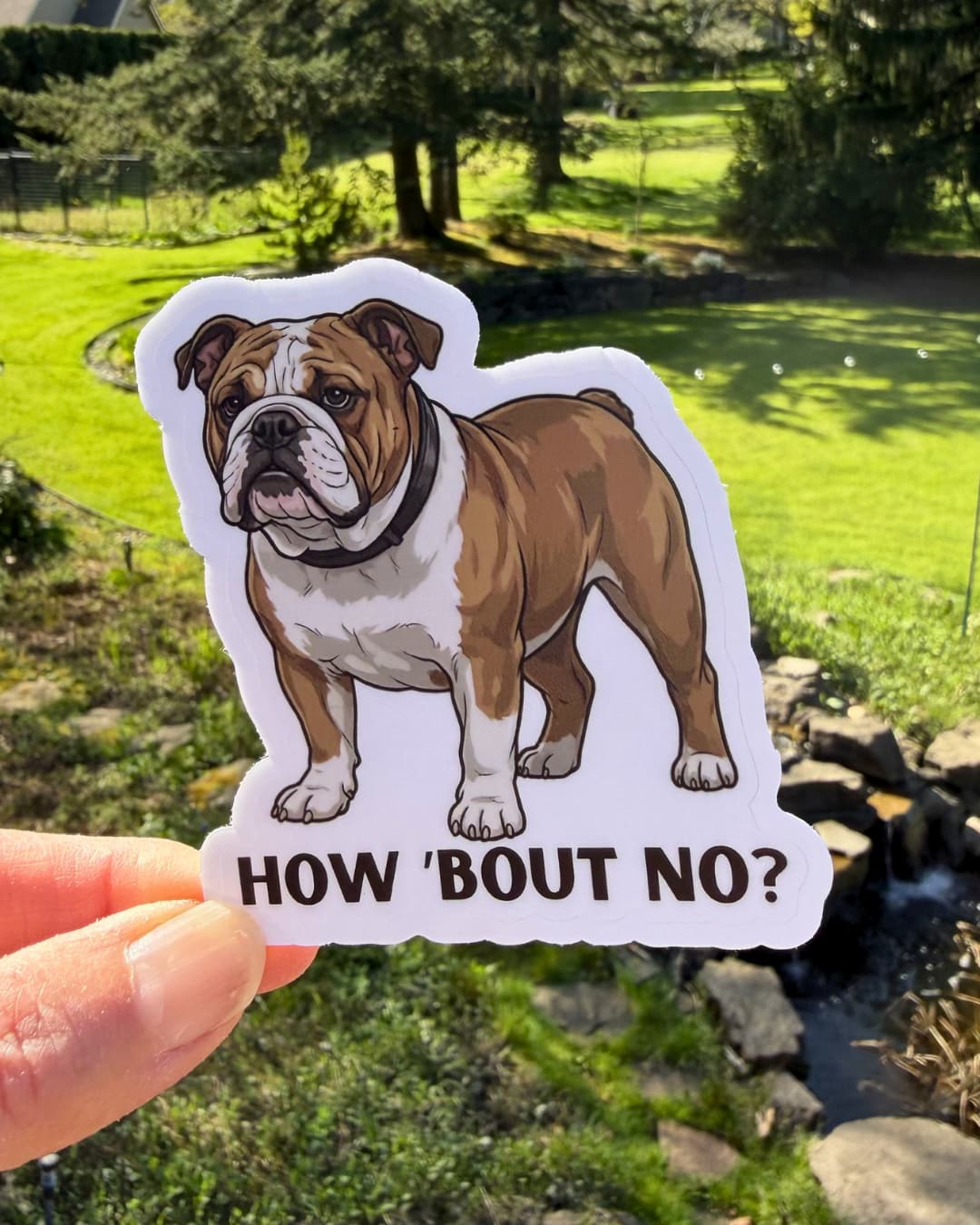 english bulldog funny dog sticker how bout no humor sticker held between fingers outdoors with yard background