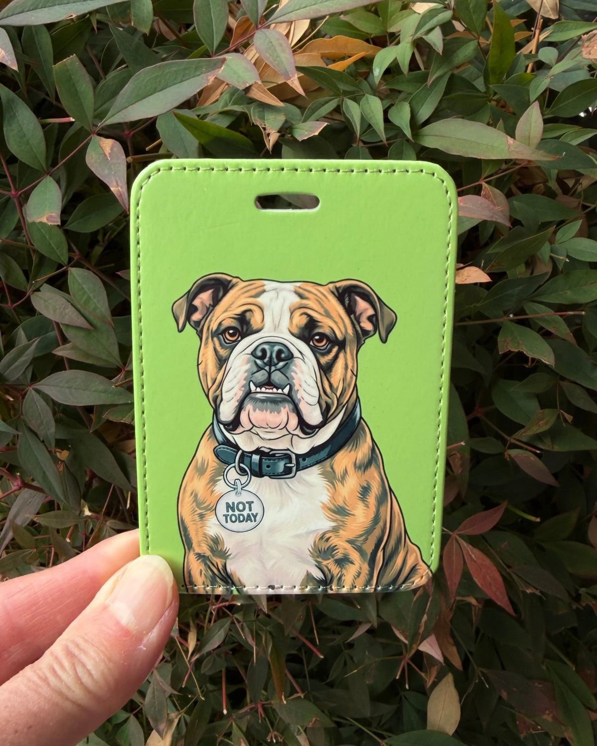 Hand holding English Bulldog luggage tag, fawn brindle and white bulldog on lime green, charm reads NOT TODAY, green leaves behind
