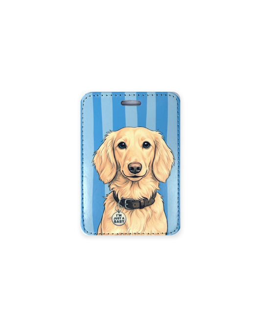 English cream long haired dachshund luggage tag with an original design of a doxie wearing a dark brown collar and a round charm that reads "I'm Just a Baby", on blue stripes. Faux leather luggage tag with stitched edges and a slot at the top.