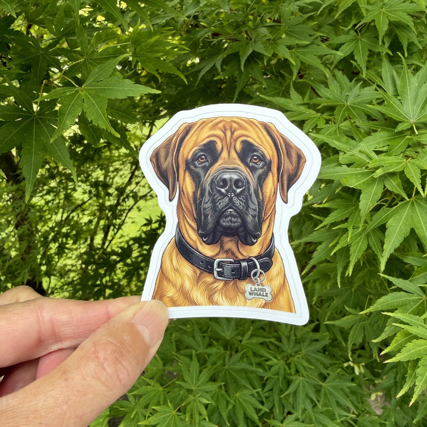 English Mastiff Sticker | "Land Whale" Funny Dog Vinyl Sticker