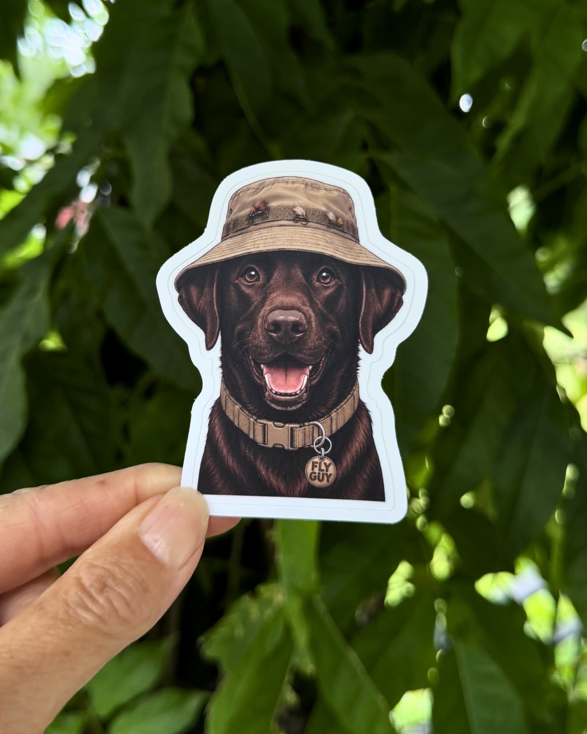 Hand holding Chocolate Labrador fly fishing waterproof sticker outdoors against green leaves.