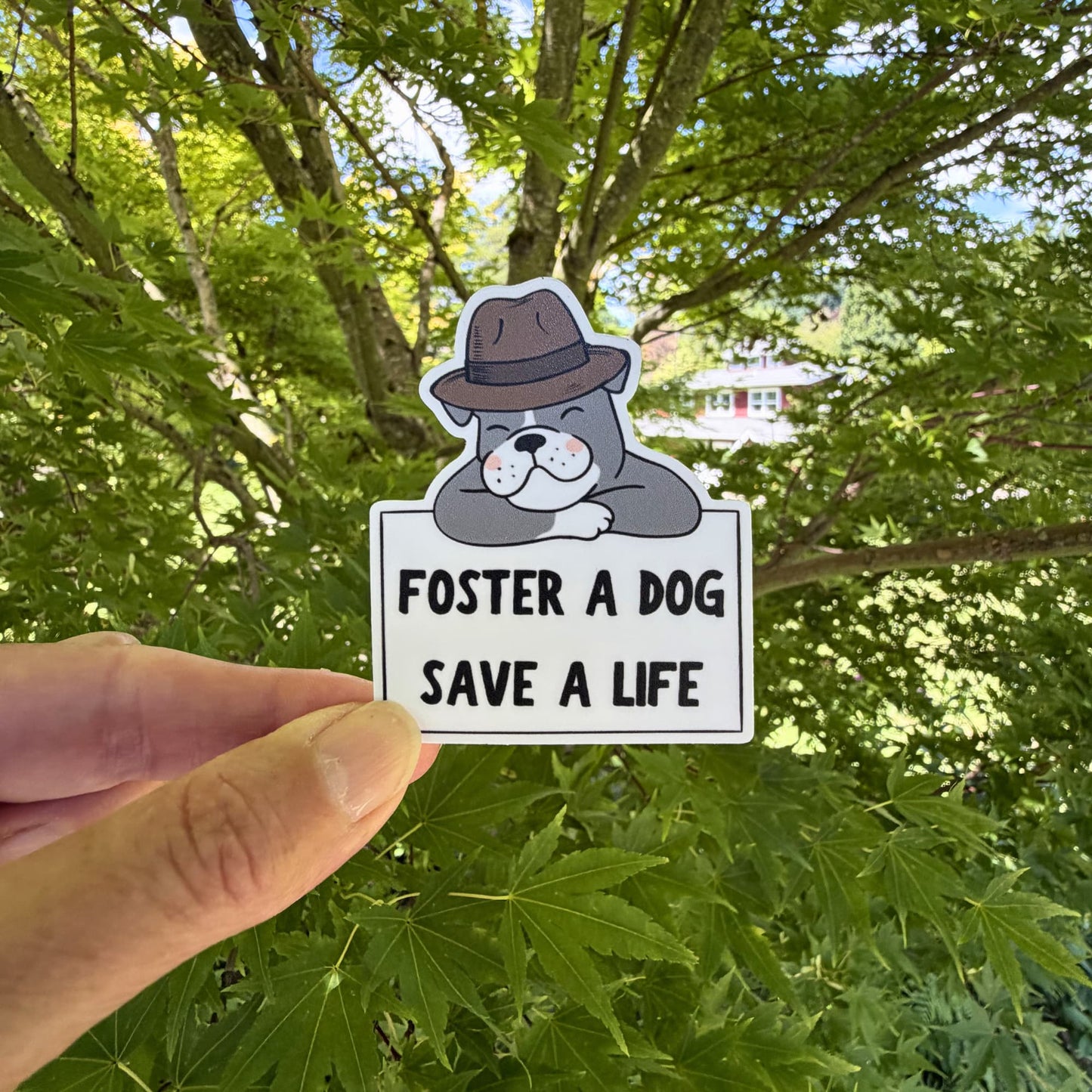 foster dog sticker: illustrated pit bull wearing a fedora leaning over a white sign that says "foster a dog, save a life" - sticker held by hand with tree leaves background