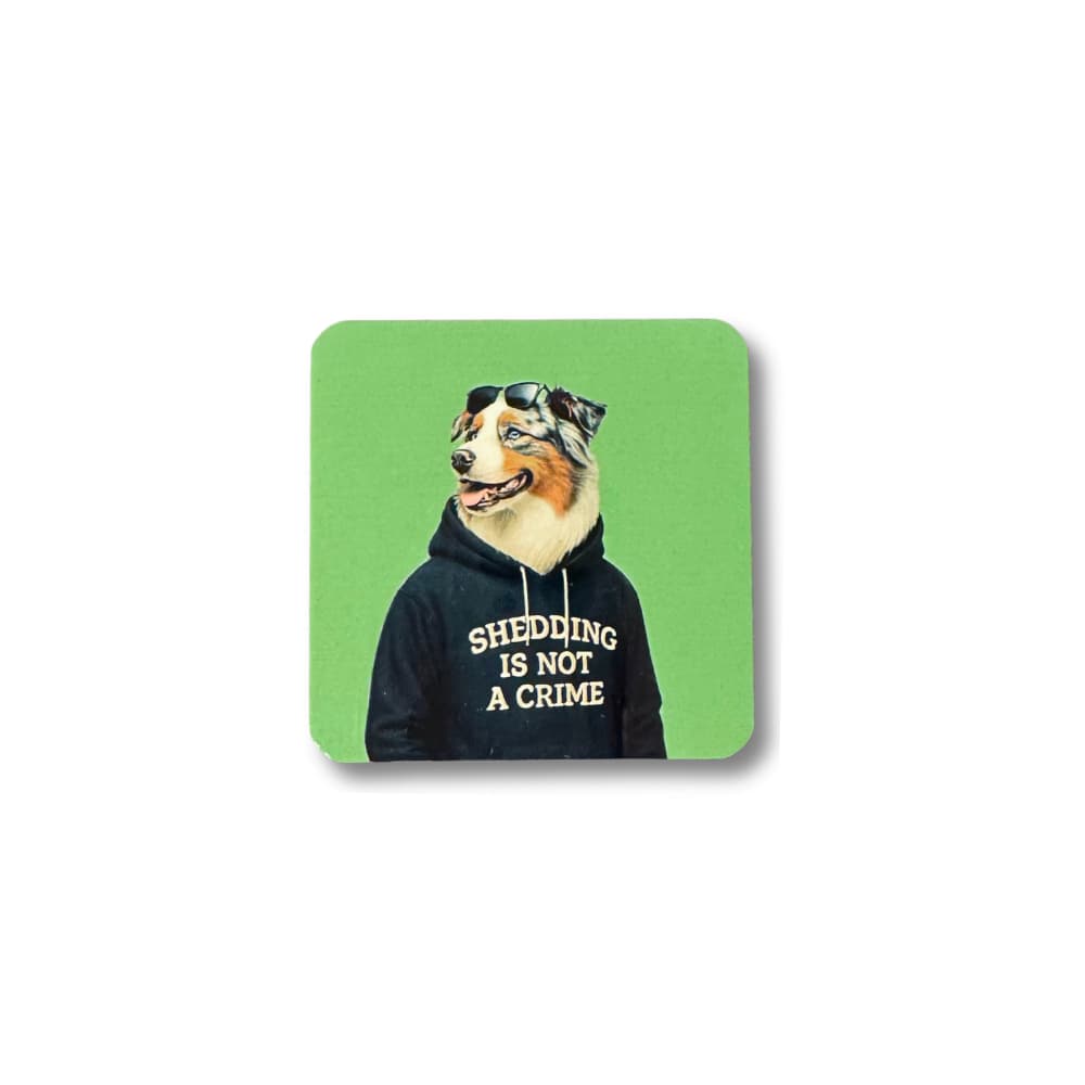 Funny Australian Shepherd magnet on green background; a dog wearing a hoodie with text: 'Shedding is not a crime' 