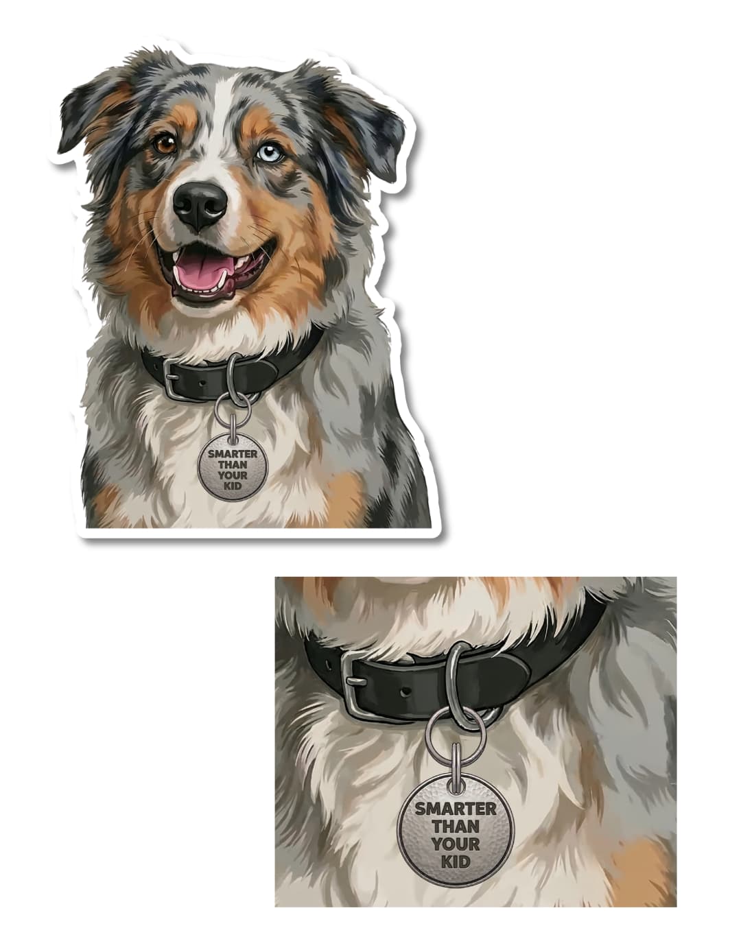 funny australian shepherd sticker blue merle australian shepherd with one blue eye wearing smarter than your kid tag matte vinyl decal. Second image: close up of tag