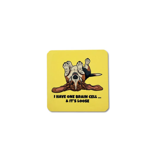 Cute Basset Hound Magnet | One Brain Cell & It's Loose