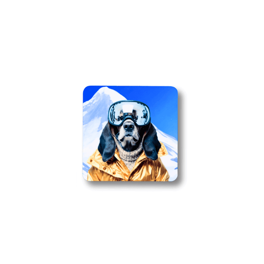Square funny basset hound ski magnet; with a dog wearing goggles and a gold skicoat against a mountain background